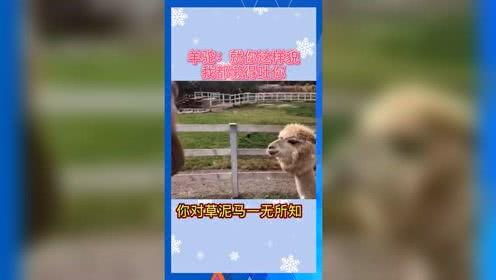 积极的吃瓜娱乐,盘点那些积极向上的吃瓜娱乐瞬间